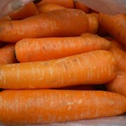 Морковь, продажа, Джанкой, АР Крым фото