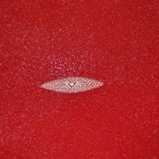 Кожа Скат-натуральный красный 49*27 см фото