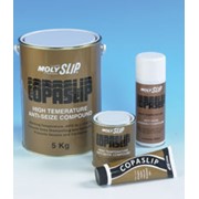 Смазка высокотемпературная Copaslip фото