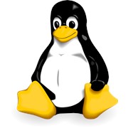 Виртуальный выделенный Linux сервер