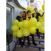 Евенты в МолдовеПроведения акций в Молдове фото