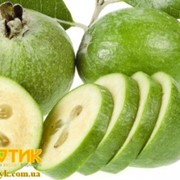 Фейхоа Код: 5041, импортная продукция ОПТОМ фото