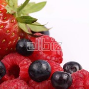 Ягоды, купить ягоды оптом фото