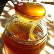 Мёд натуральный, разнотравье фотография