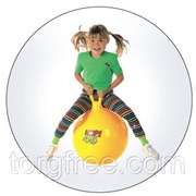 Гимнастический Мяч Hop 55 см. фотография
