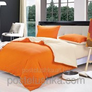 Комплект постельного белья трикотаж джерси La scala JR-19 Семейный фото