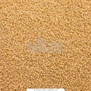 Крупа пшеничная оптом по Украине Перловая, ячневая, пшеничная крупа фото