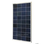 Солнечная панель поликристаллическая OS-100П фото