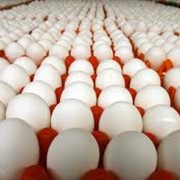 Яйца куриные, яйца, продукция птицеводства, продукты и напитки. фото