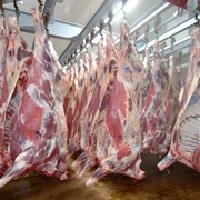 Мясо оптом говядина свинина куры ЛУЧШИЕ ЦЕНЫ В РБ!!! фото