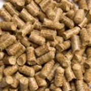 Пеллеты из хвои. фото