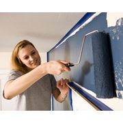 Исследование лакокрасочных материалов и покрытий фото