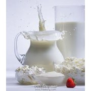 Молоко сухое СЖМ (сухое жирное молоко) 25%, ГОСТ