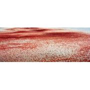 Красная соль для посыпания дорог фото