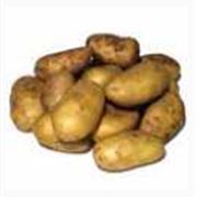 Продукты сельскохозяйственные фото