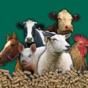 Биокорма для сельскохозяйственных животных фотография