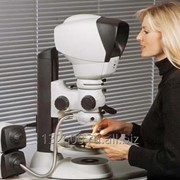 Безокулярный стереомикроскоп LYNX Артикул: 000218