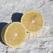 Лимоны (Турция). фотография