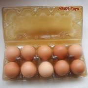 Упаковка ПЭТ для куриных яиц фотография