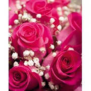 Пакет подарочный ламинированный “Нежный букет роз“, 12х6х15см, (MILAND) фото