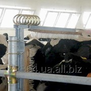 Установка для чесання корів фото