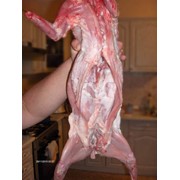 Мясо кролика парное фото