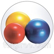 Гимнастические мячи Gymnic Classic Plus 65 см. фото