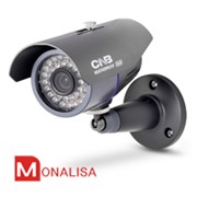 Уличная всепогодная камера WCL-21S на мощнейшем чипсете Monalisa фото