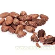Какао-бобы неочищенные фотография