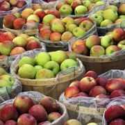 Яблоки в Молдове