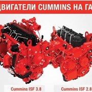 Запчасти на двигатель cummins isf 3.8 Новокузнецк фото