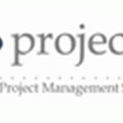 Система распределенного управления проектами Webo Eproject. фото
