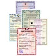 Сертификат соответствия требованиям технического регламента о безопасности колесных транспортных средств фото