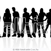 Услуги консалтинговые фото