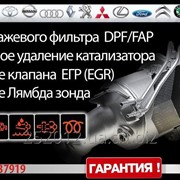 Удаление сажевого фильтра DPF/FAP фотография