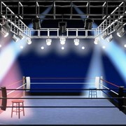 Боксёрский ринг с профессииональным освещением 876 фото
