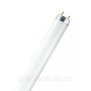 Лампа люминесцентная OSRAM L18/765 ЛЛ Т8 18вт G13 фотография