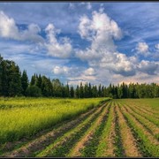 Техническая и биологическая рекультивация земли фотография