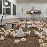 Оборудование для напольного выращивания бройлеров фото