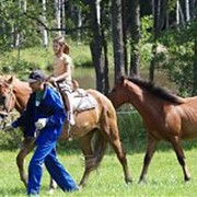 Конные прогулки. фото
