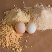 Альбумин 85% белка (яичный протеин из белков куриных яиц) 1 кг Украина Proteininkiev фото
