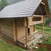 Гостьовий дерев'яний будинок фото