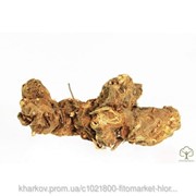 Калган лекарственный (Alpinia officinarum, Альпиния лекарственная) корень 100 грамм фото