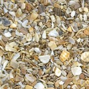 Песок морской ракушки для мульчирования междурядий в виноградарстве фото