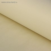 Бумага тишью “Кремово-белый“, 50 х 76 см, 24 шт. фотография