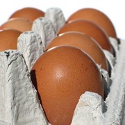 Яйцо куриное фото