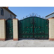 Ворота и калитка с металлическими ромашками “Финик фото