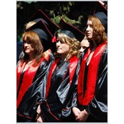 Европейский университет. Дневная, заочная и дистанционная форма обучения по 10 направлениям и 16 специальностям образовательно-квалификационных уровней бакалавр, специалист, магистр и по 9 специальностям уровня младший специалист фото