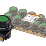 Выключатель кнопочный КЕ 011-У2-исп.1 зеленый 2з 10A 660B IP40 TDM ELECTRIC SQ0753-0001 фото