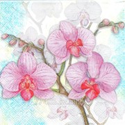 Салфетка для декупажа Три орхидеи голубые фото